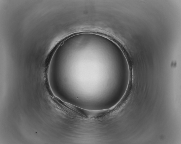 X0000090461501200707201323