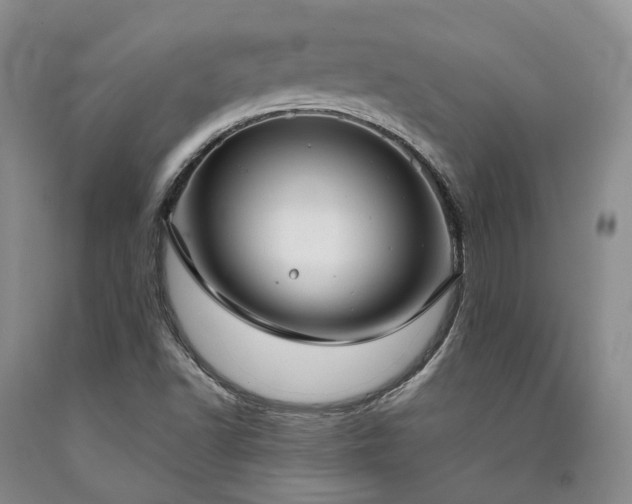 X0000090461502200707201323
