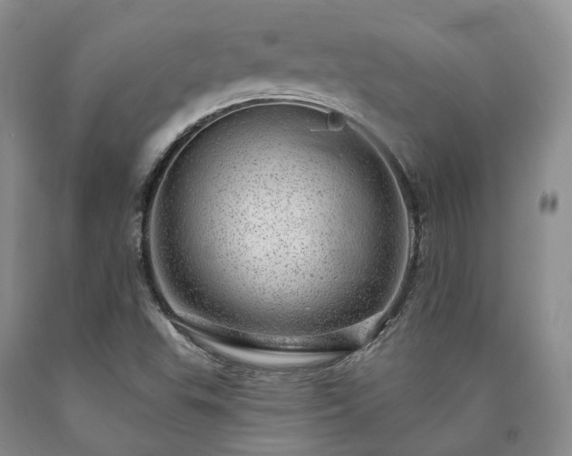 X0000090461503200707201323