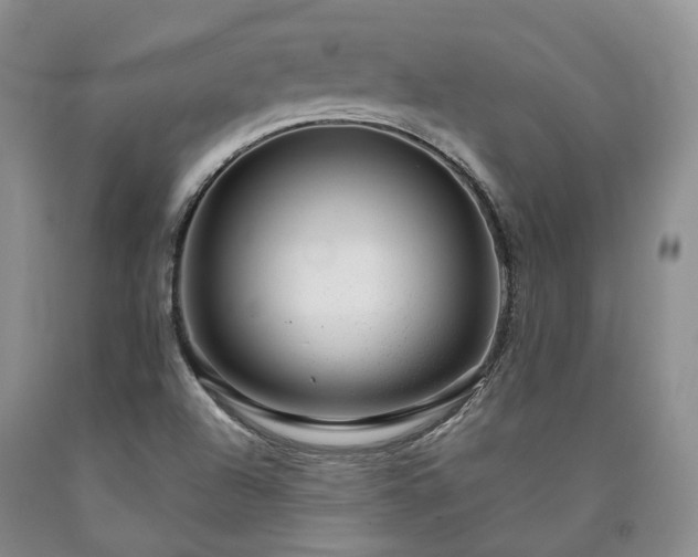 X0000090461504200707201323