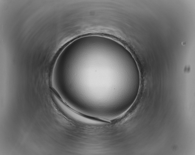 X0000090461505200707201323