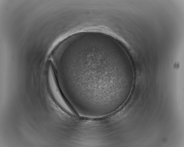 X0000090461506200707201323
