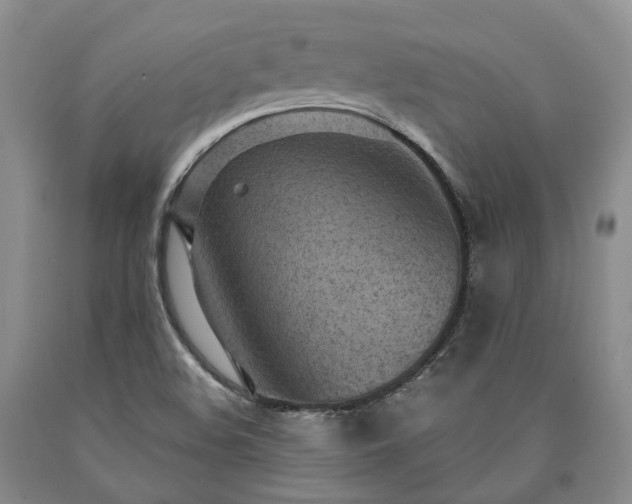 X0000090461508200707201323