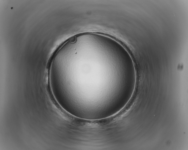 X0000090461509200707201323