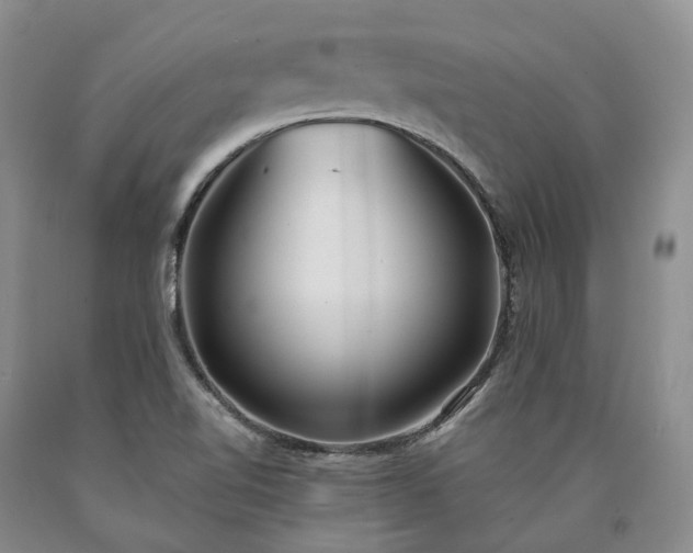 X0000090461510200707201323