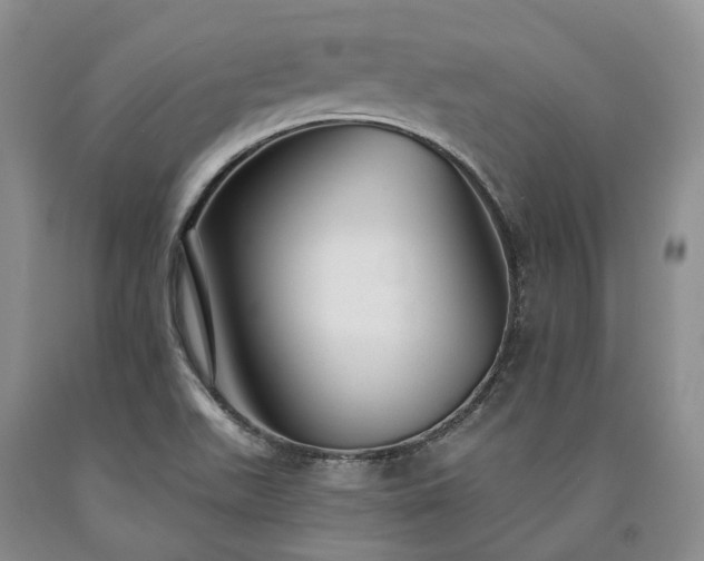 X0000090461511200707201323