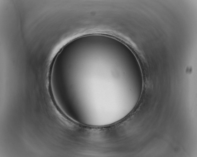 X0000090461512200707201323