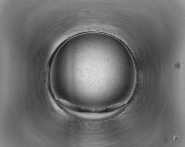 X0000090461515200707201323
