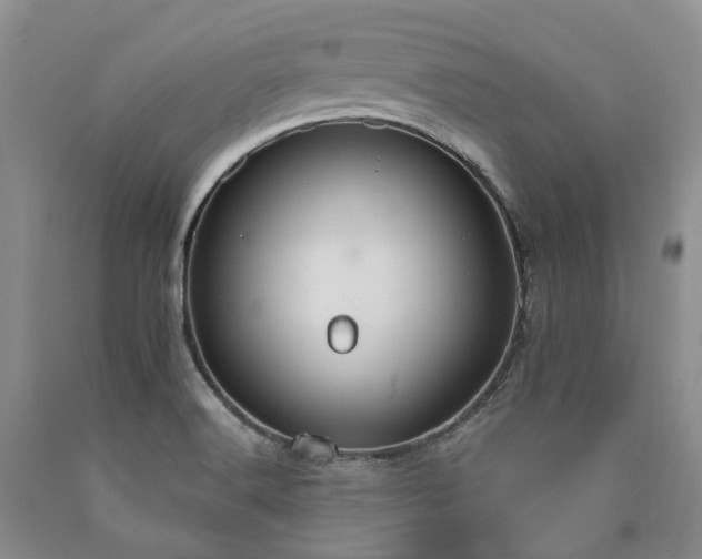 X0000090461516200707201323