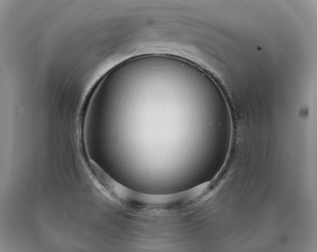 X0000090461517200707201323