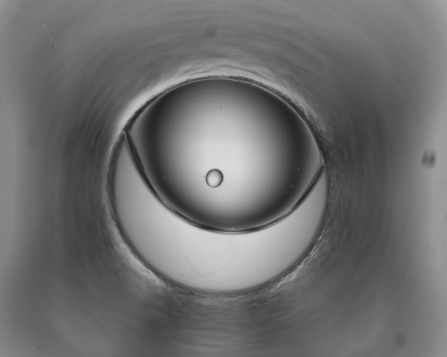 X0000090461518200707201323