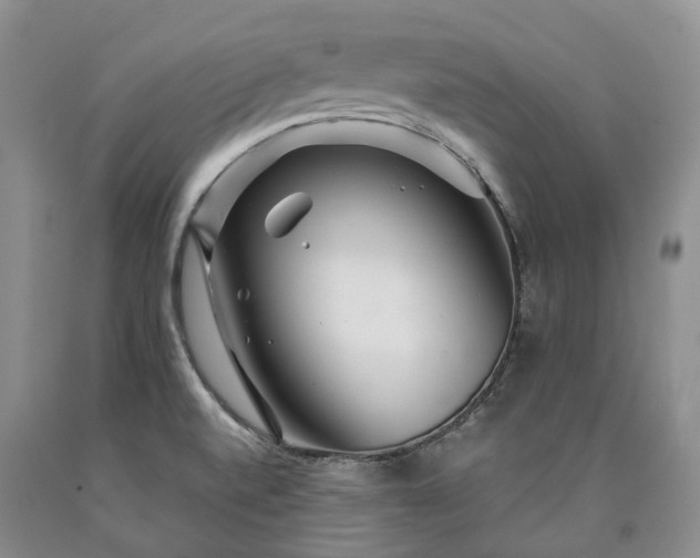 X0000090461520200707201323