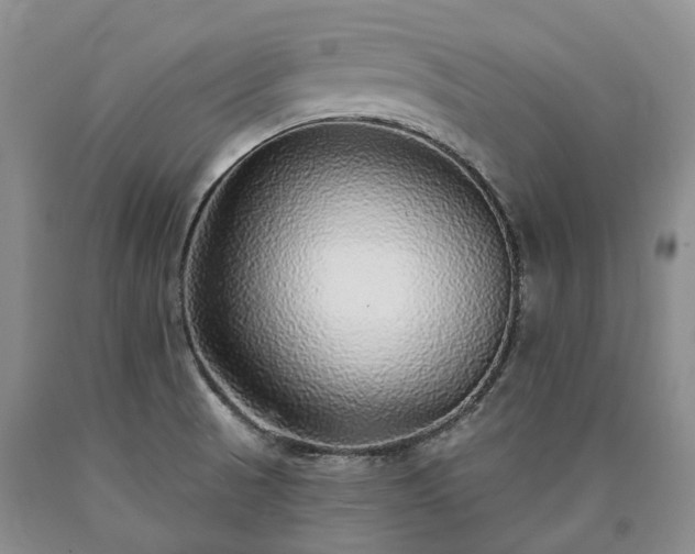 X0000090461521200707201323
