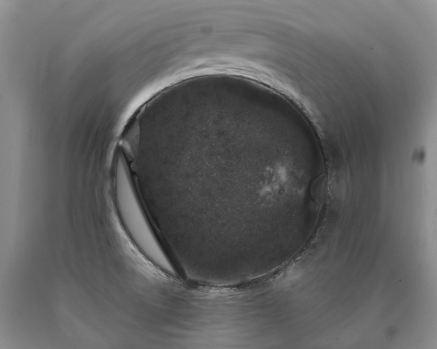 X0000090461522200707201323