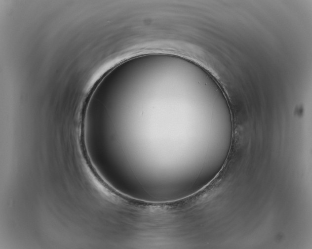X0000090461523200707201323