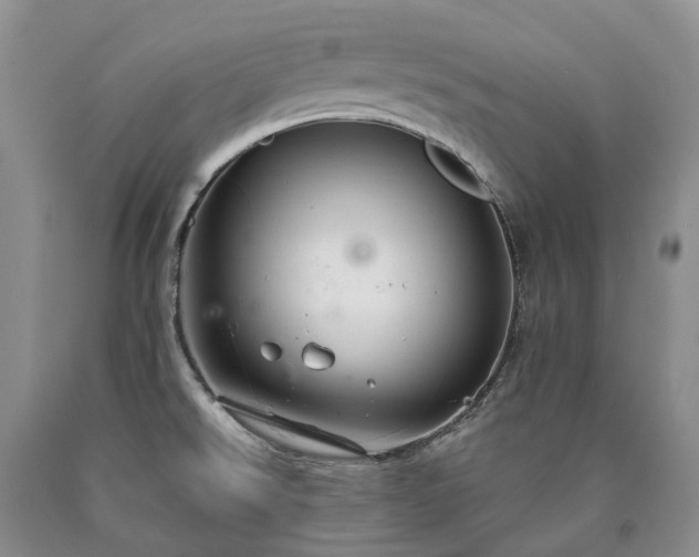 X0000090461526200707201324