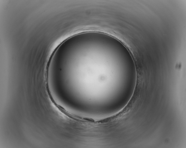 X0000090461527200707201324