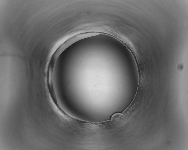 X0000090461528200707201324