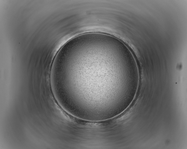 X0000090461529200707201324