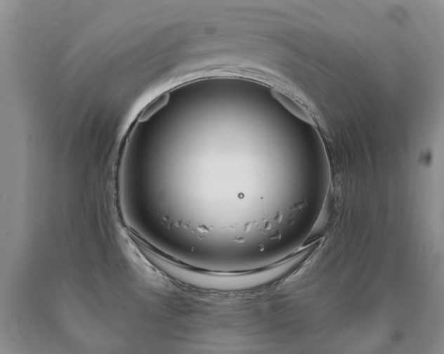 X0000090461530200707201324