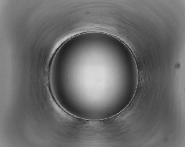 X0000090461531200707201324