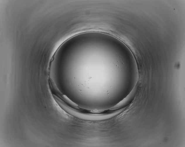 X0000090461532200707201324