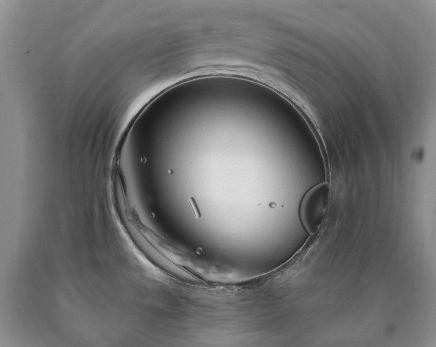 X0000090461533200707201324