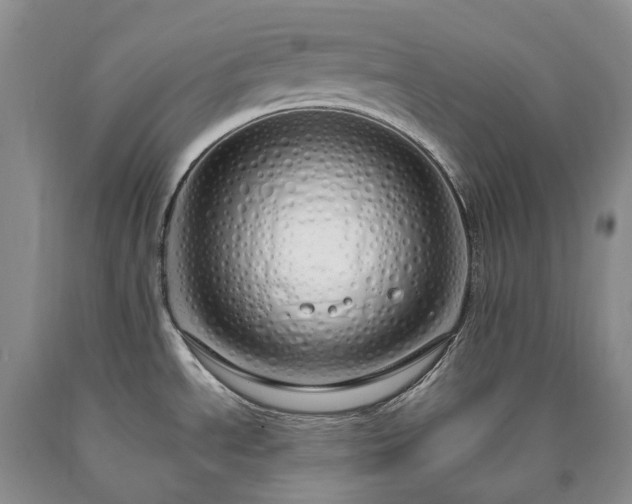 X0000090461534200707201324