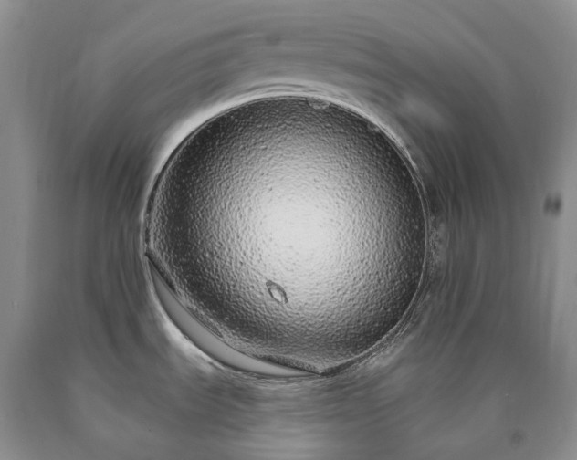 X0000090461535200707201324