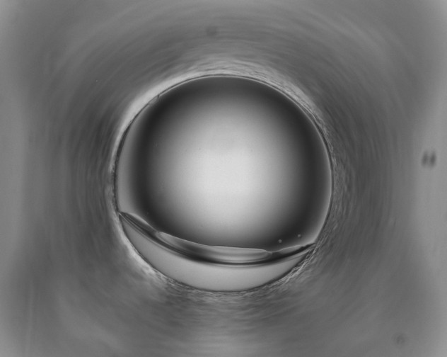 X0000090461536200707201324