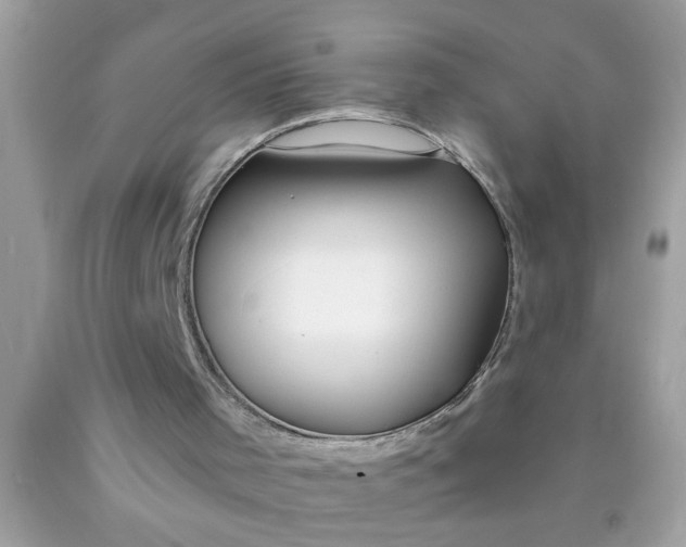 X0000090460001200707272246