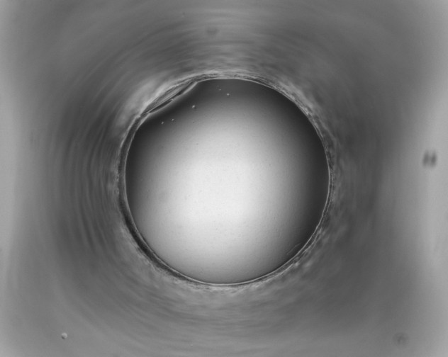 X0000090460002200707272246