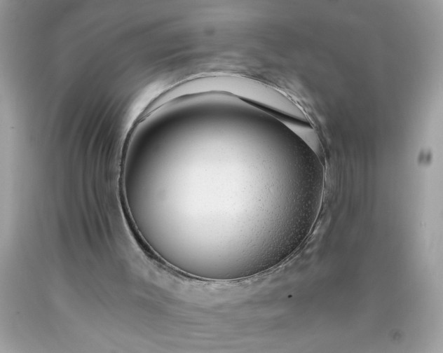 X0000090460003200707272246