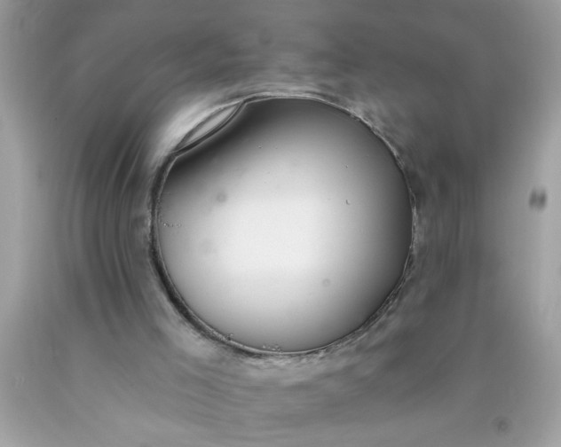 X0000090460005200707272246