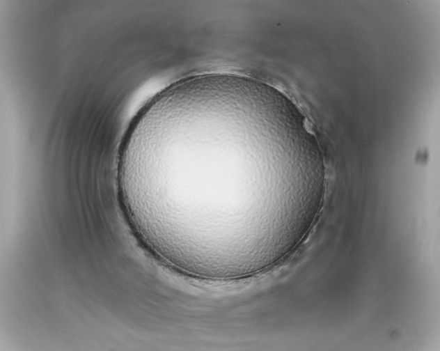 X0000090460006200707272246