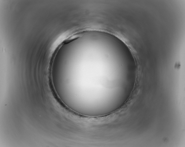 X0000090460007200707272246
