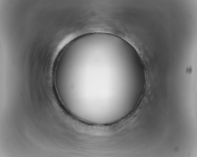 X0000090460008200707272246