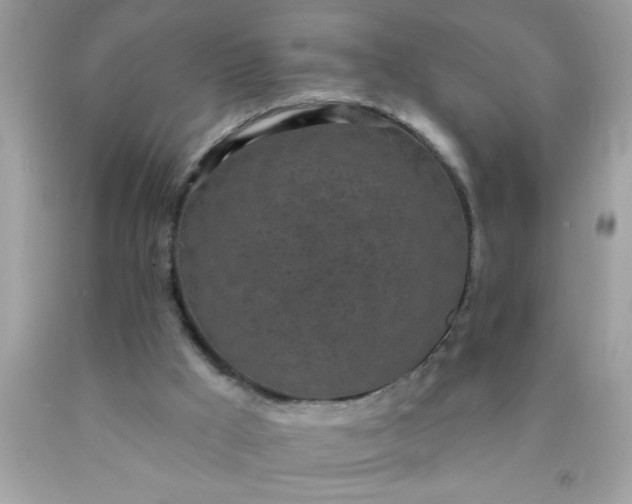 X0000090460009200707272246