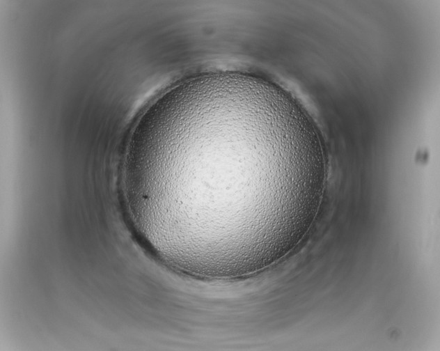 X0000090460010200707272246