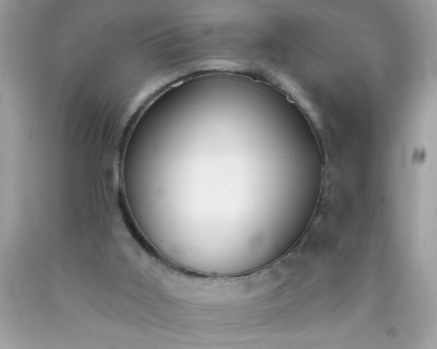X0000090460011200707272246