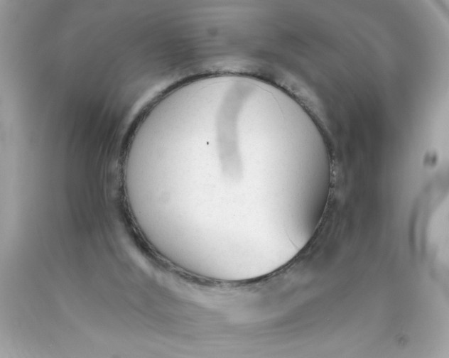 X0000090460012200707272246