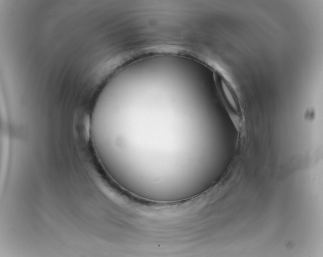 X0000090460013200707272246