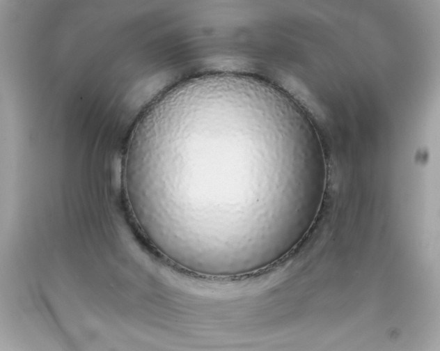 X0000090460014200707272246
