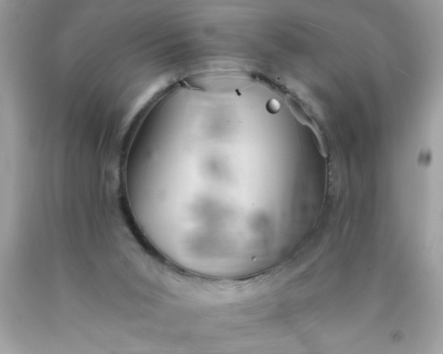 X0000090460015200707272246