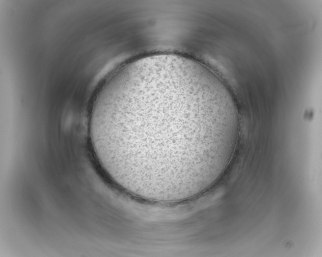 X0000090460016200707272246