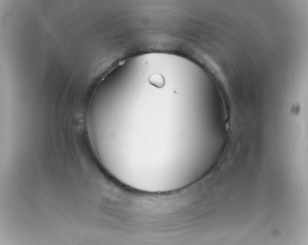 X0000090460017200707272246