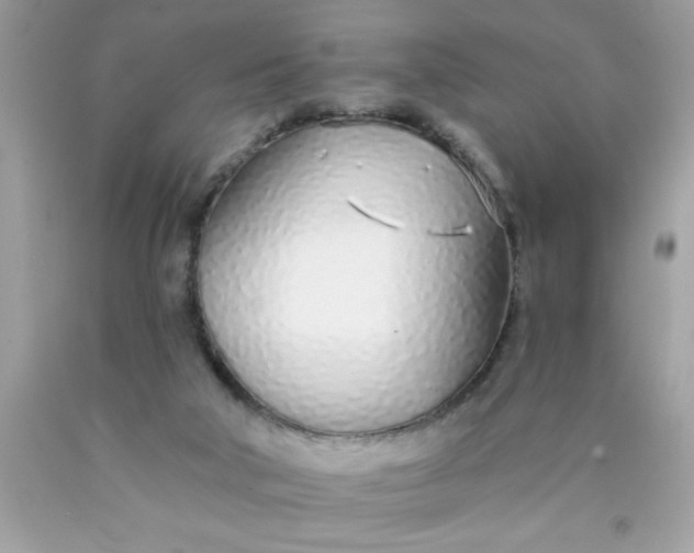 X0000090460018200707272246