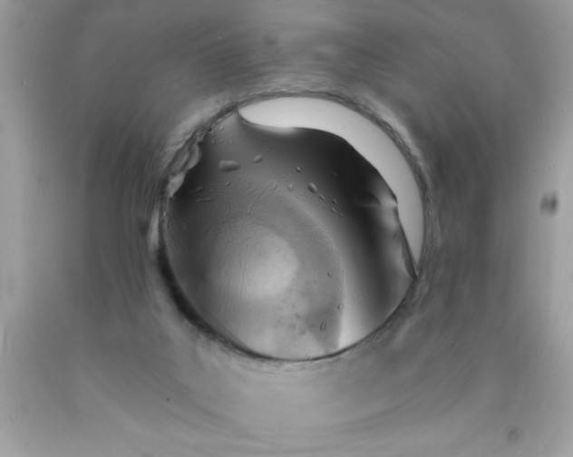 X0000090460019200707272246