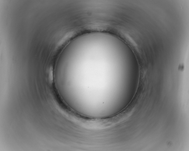 X0000090460020200707272246