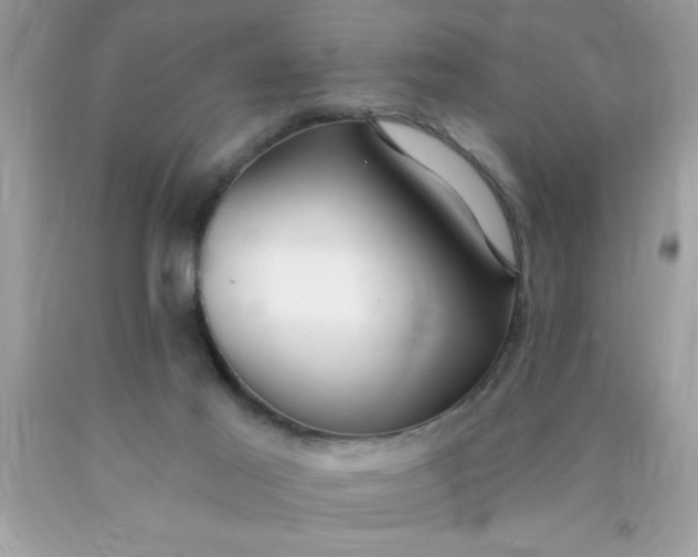 X0000090460021200707272246